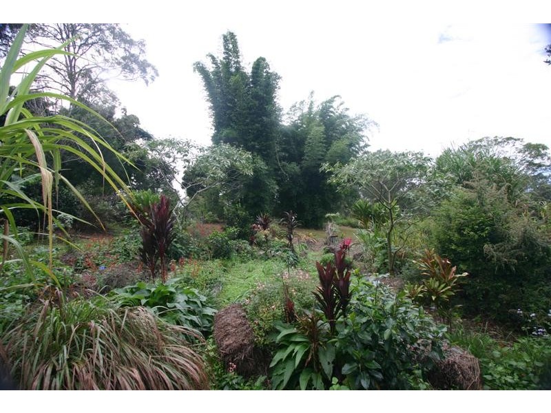 1456 Cooroy Belli Creek Rd, Cooroy QLD 4563