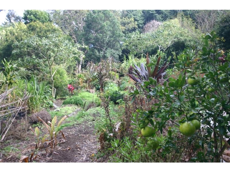 1456 Cooroy Belli Creek Rd, Cooroy QLD 4563