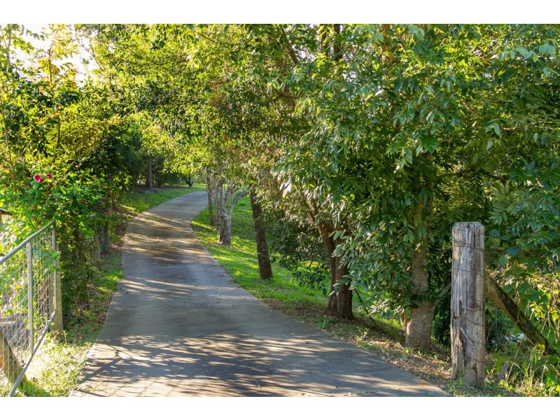 99 Cudgerie Drive, Black Mountain QLD 4563