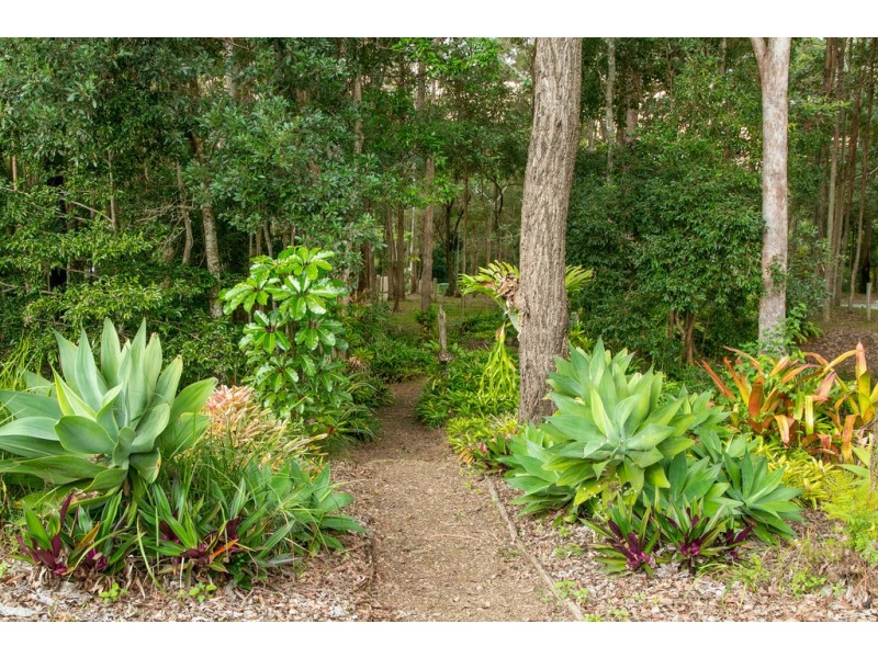 107 Cudgerie Drive, Black Mountain QLD 4563