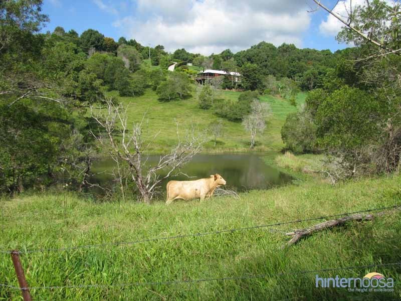 96 Evans Road, Black Mountain QLD 4563