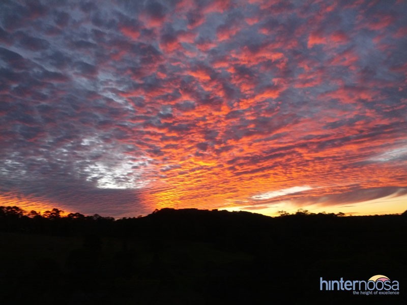 96 Evans Road, Black Mountain QLD 4563