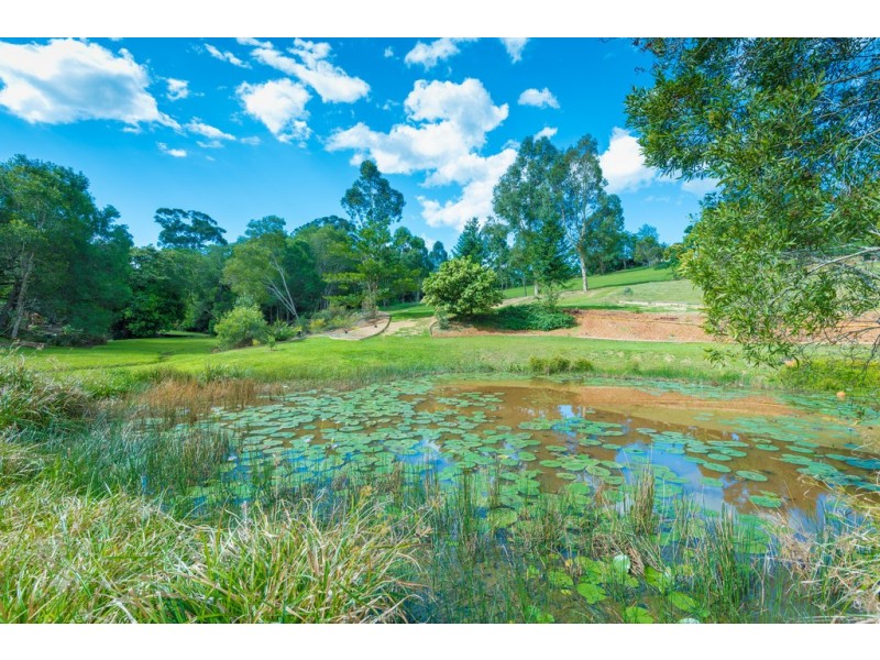 4 Falcon Cres, Cooroy QLD 4563