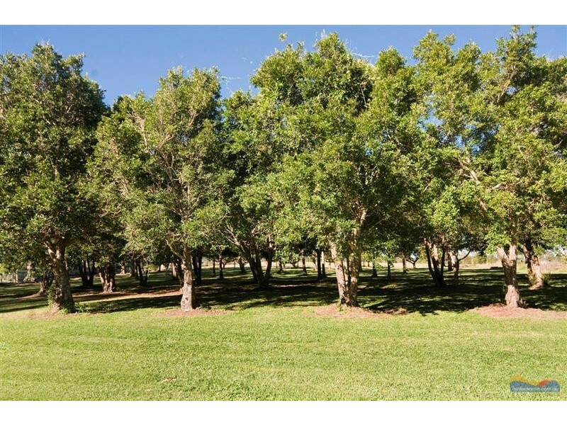 79 Ferrells Rd, Cooroy QLD 4563