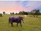 95 Ferrells Road, Cooroy QLD 4563