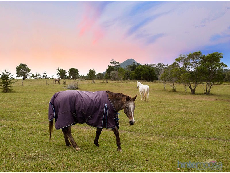 95 Ferrells Road, Cooroy QLD 4563