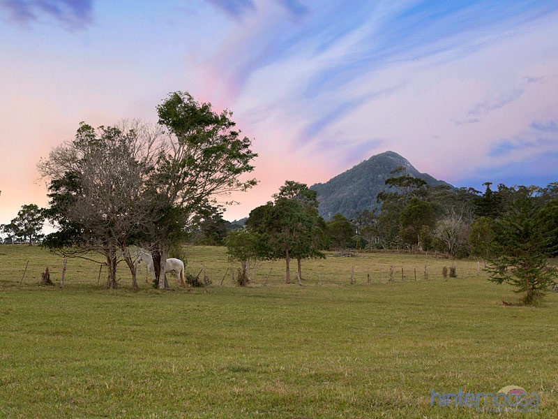 95 Ferrells Road, Cooroy QLD 4563