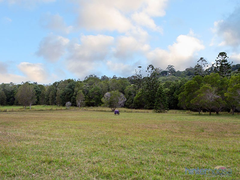 95 Ferrells Road, Cooroy QLD 4563