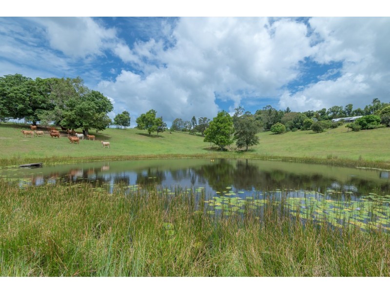 146 Ferrells Rd, Cooroy QLD 4563