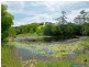 8 Flooded Gum Place, Cooroy QLD 4563