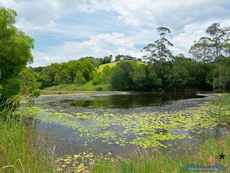 8 Flooded Gum Place, Cooroy QLD 4563