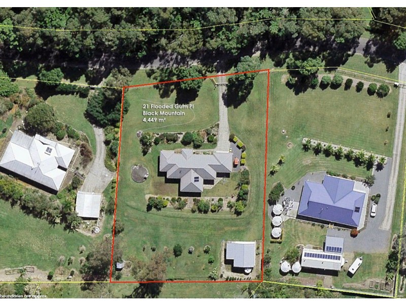 21 Flooded Gum Place, Black Mountain QLD 4563