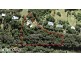 16 Foambark Place, Black Mountain QLD 4563