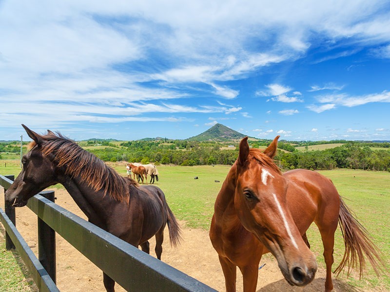 27 Grevillea Lane, Lake Macdonald QLD 4563