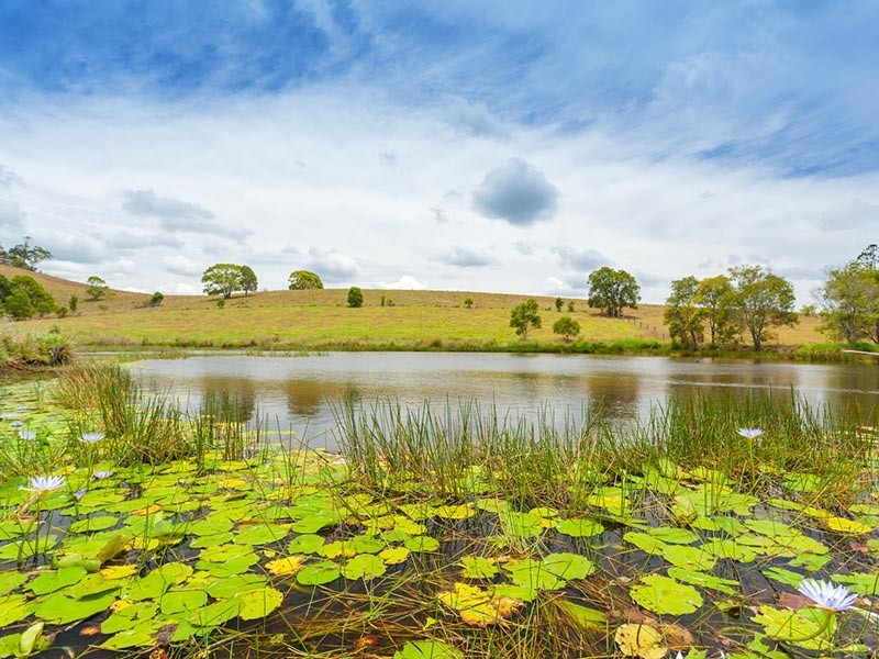 27 Grevillea Lane, Lake Macdonald QLD 4563