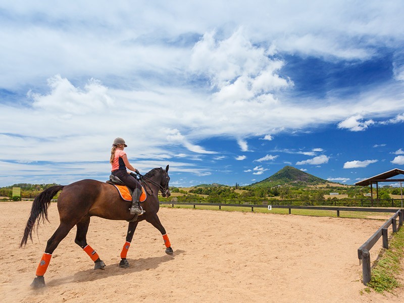 27 Grevillea Lane, Lake Macdonald QLD 4563