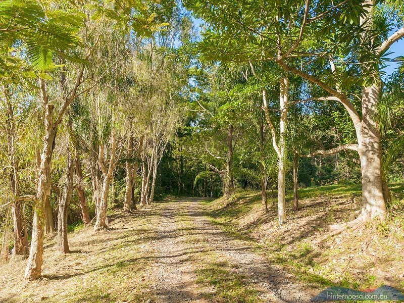 202 Gumboil Road, Tinbeerwah QLD 4563