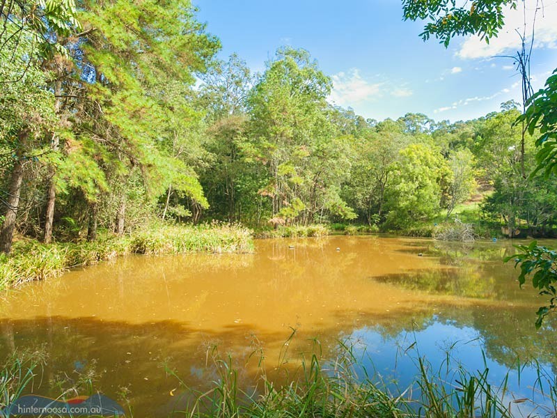 202 Gumboil Road, Tinbeerwah QLD 4563