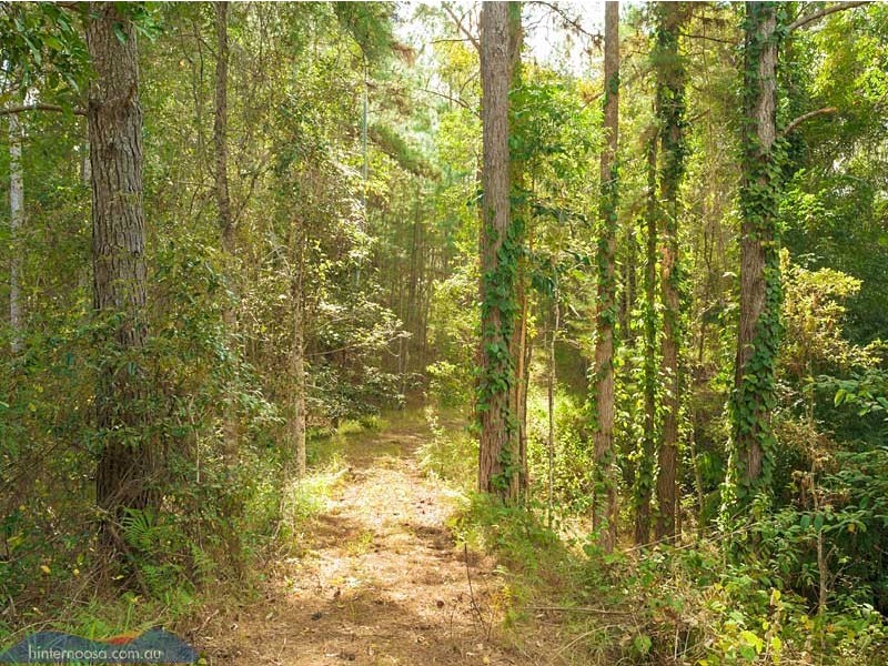 202 Gumboil Road, Tinbeerwah QLD 4563