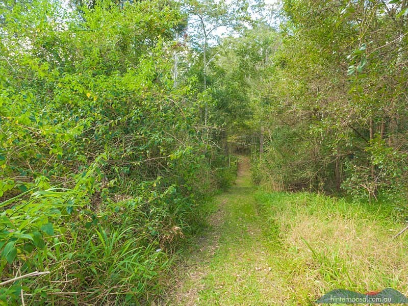 202 Gumboil Road, Tinbeerwah QLD 4563