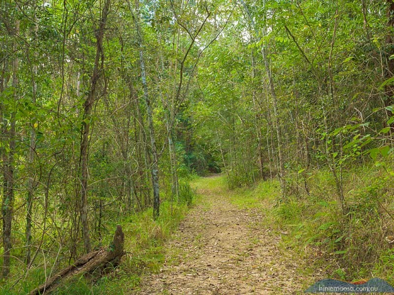 202 Gumboil Road, Tinbeerwah QLD 4563