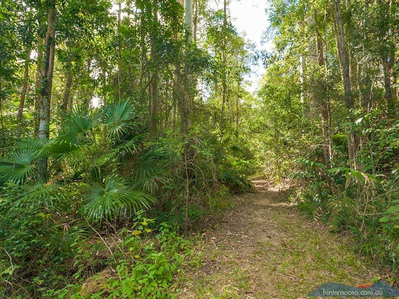 202 Gumboil Road, Tinbeerwah QLD 4563