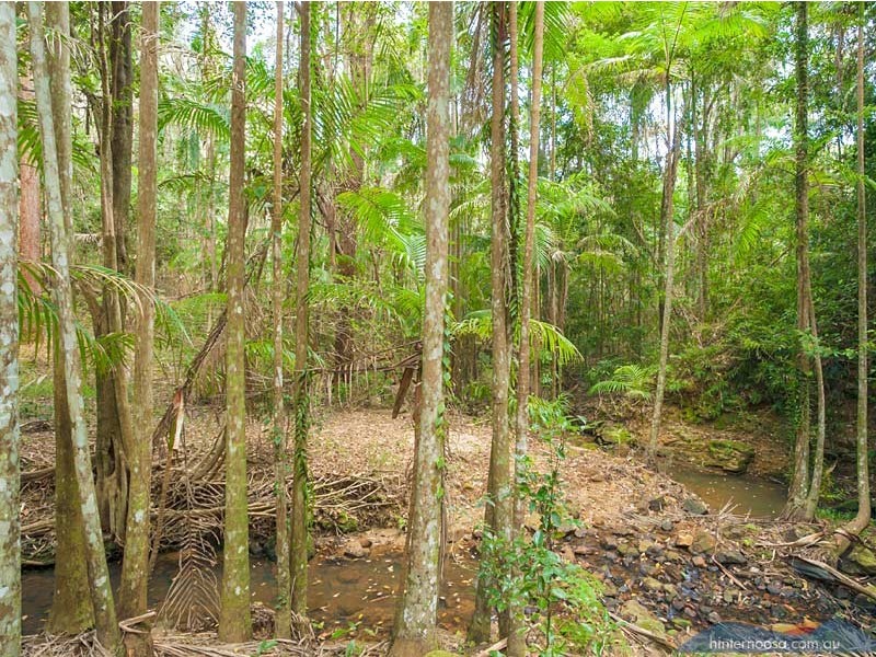 202 Gumboil Road, Tinbeerwah QLD 4563