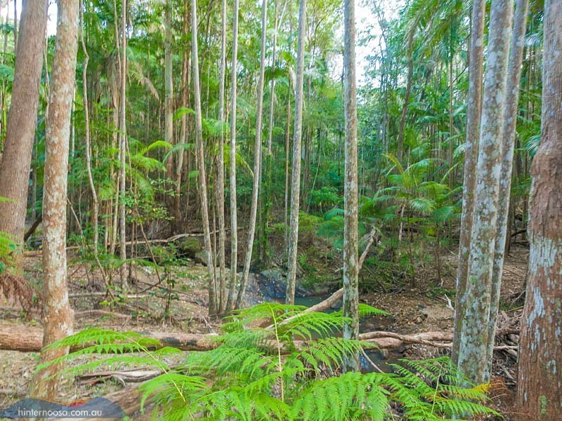 202 Gumboil Road, Tinbeerwah QLD 4563