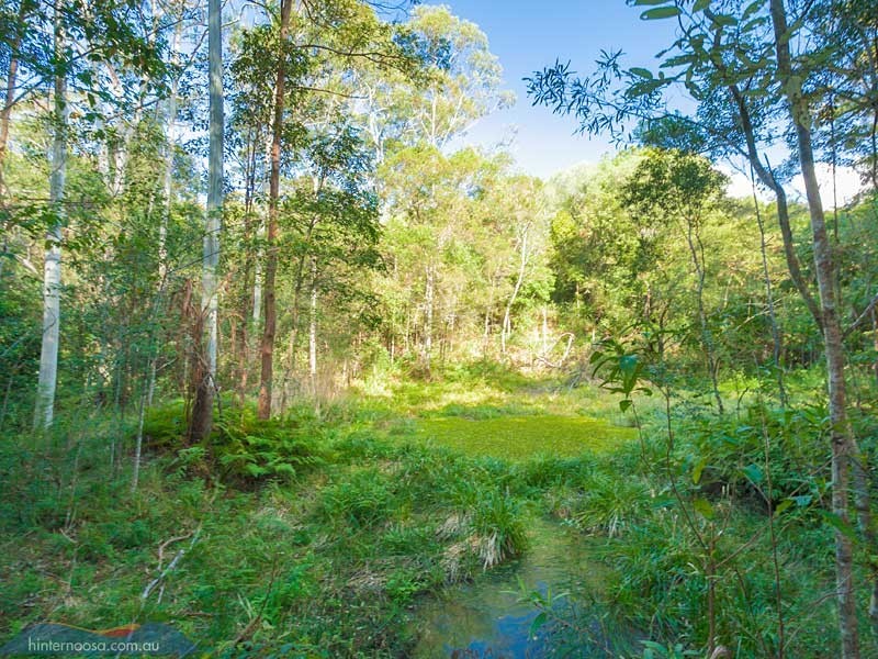 202 Gumboil Road, Tinbeerwah QLD 4563