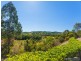 278 Happy Jack Creek Rd, Carters Ridge QLD 4563