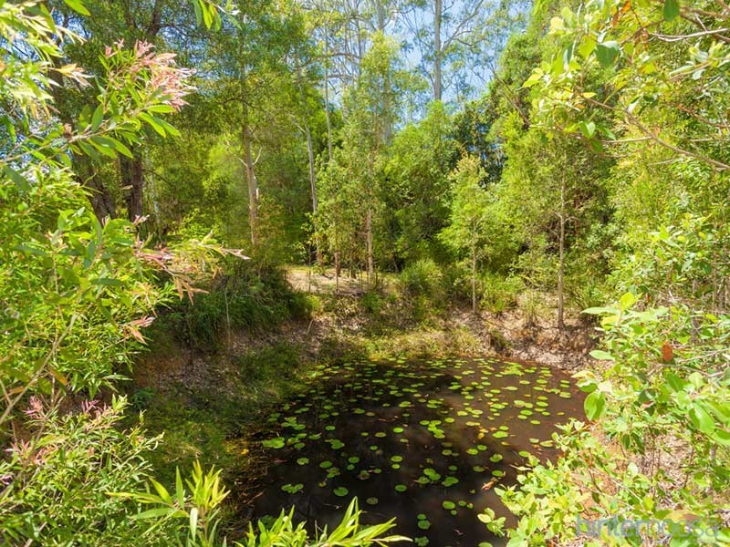 19 Highland Drive, Lake Macdonald QLD 4563