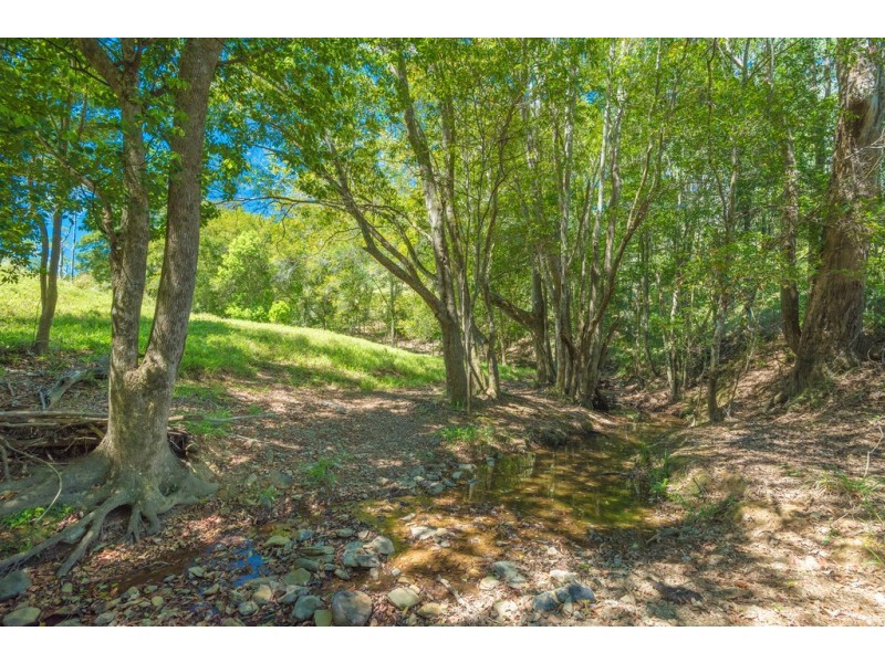 76 Honeytree La, Ridgewood QLD 4563