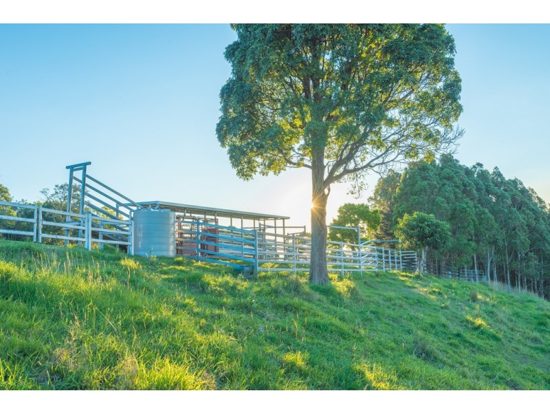 76 Honeytree La, Ridgewood QLD 4563