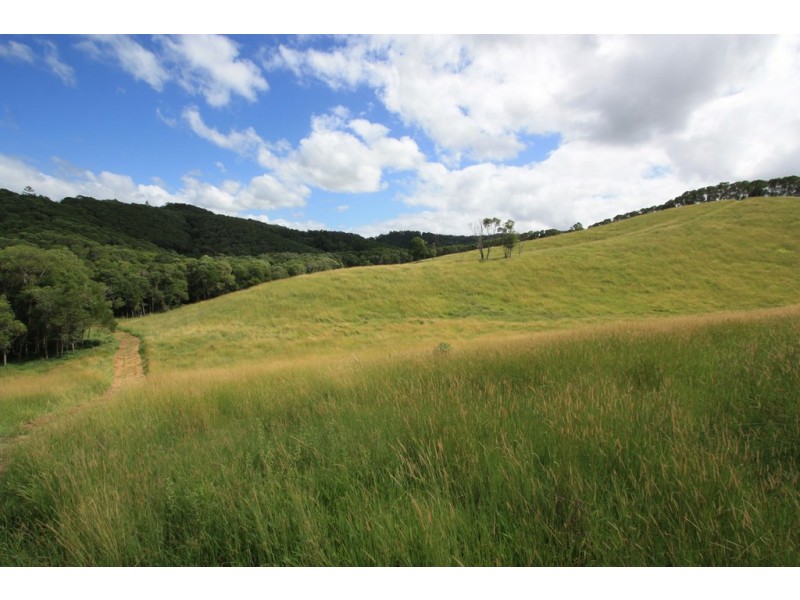 160 Honeytree La, Ridgewood QLD 4563