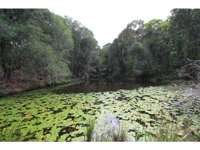 160 Honeytree La, Ridgewood QLD 4563