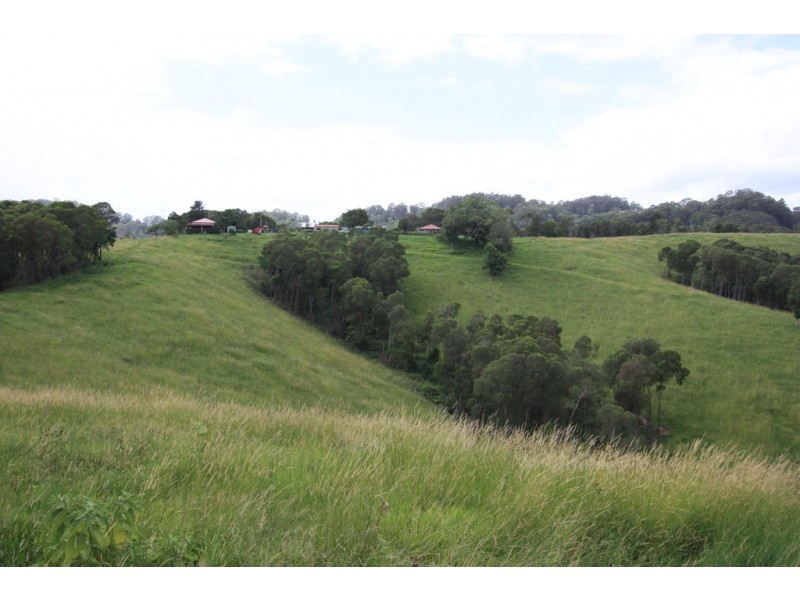 160 Honeytree La, Ridgewood QLD 4563