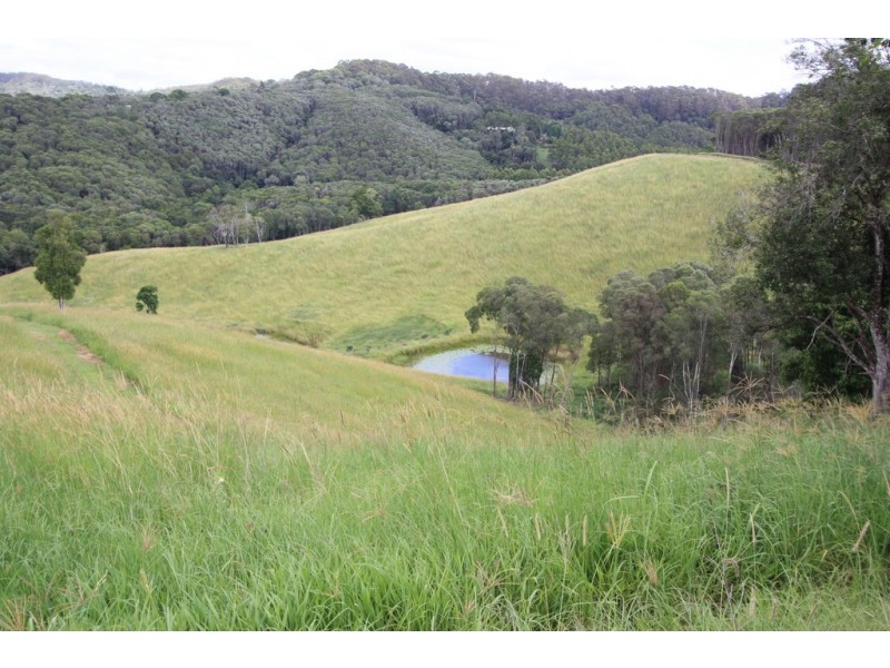 160 Honeytree La, Ridgewood QLD 4563