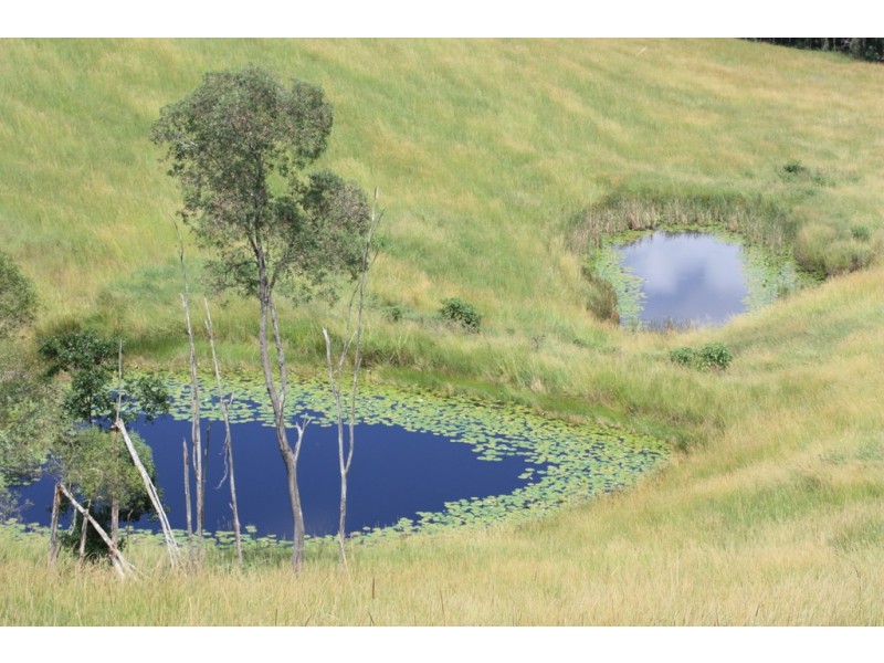 160 Honeytree La, Ridgewood QLD 4563