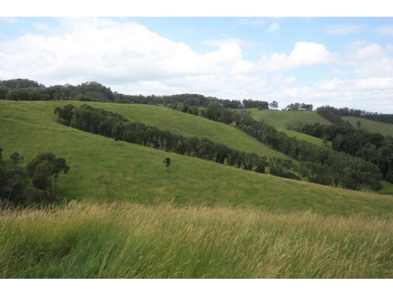 160 Honeytree La, Ridgewood QLD 4563