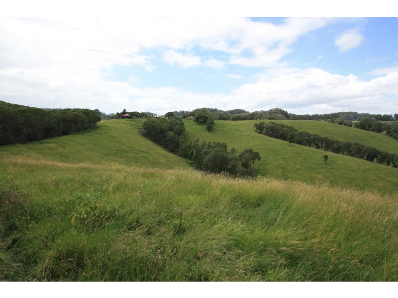 160 Honeytree La, Ridgewood QLD 4563