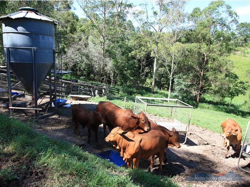 26 Jorgensen Rd, Cooroy QLD 4563