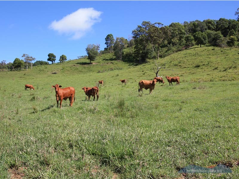 26 Jorgensen Rd, Cooroy QLD 4563