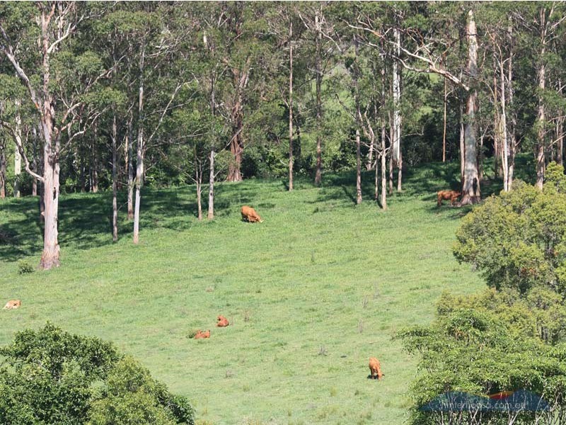 26 Jorgensen Rd, Cooroy QLD 4563