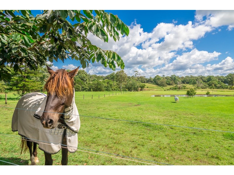 Lot 70, 56 Jubilee Road, Carters Ridge QLD 4563