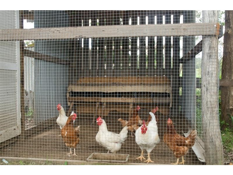 96 Jubilee Road, Carters Ridge QLD 4563