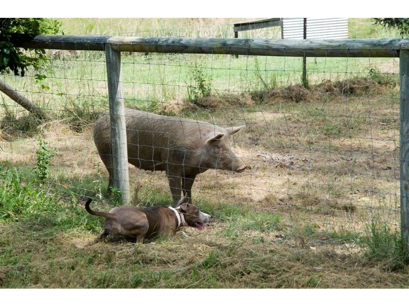 96 Jubilee Road, Carters Ridge QLD 4563