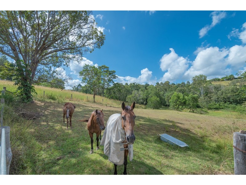 127 Jubilee Road, Carters Ridge QLD 4563