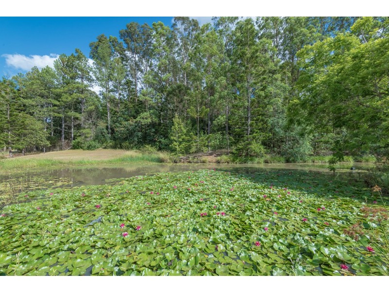 127 Jubilee Road, Carters Ridge QLD 4563