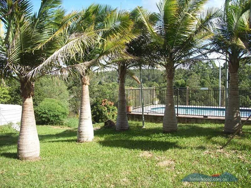 117 Killawarra Drive, Cooroy QLD 4563