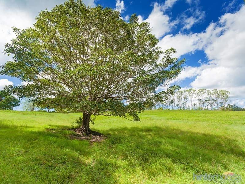 296 Lake MacDonald Drive, Lake Macdonald QLD 4563